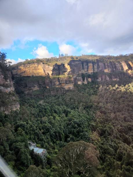istock Forest in Australia's Blue Mountains 1476074922