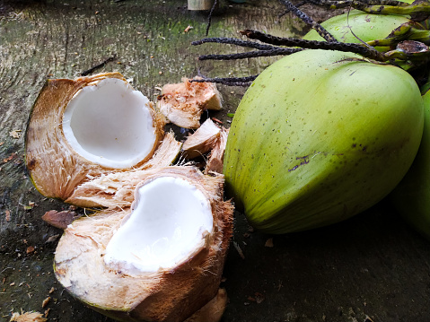 A young green coconut that has been split and one that is still intact next to it