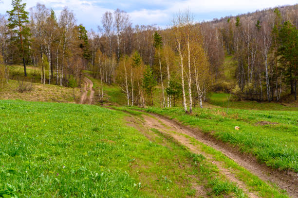 South Ural forest road with a unique landscape, vegetation and diversity of nature in spring.