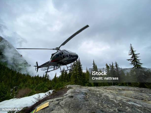 Helicopter Landing In A Forest Stock Photo - Download Image Now - Helicopter, Mountain, Tourism