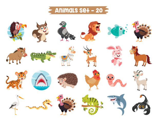 Set Of Cute Cartoon Animals Set Of Cute Cartoon Animals the boar fish stock illustrations