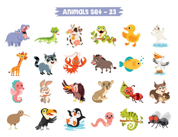 Set Of Cute Cartoon Animals Set Of Cute Cartoon Animals the boar fish stock illustrations