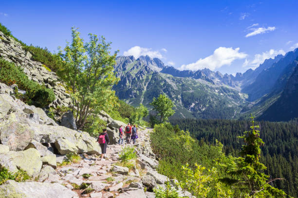 People walking the hiking trail in the Tatra mountains near Popradske Pleso stock photo