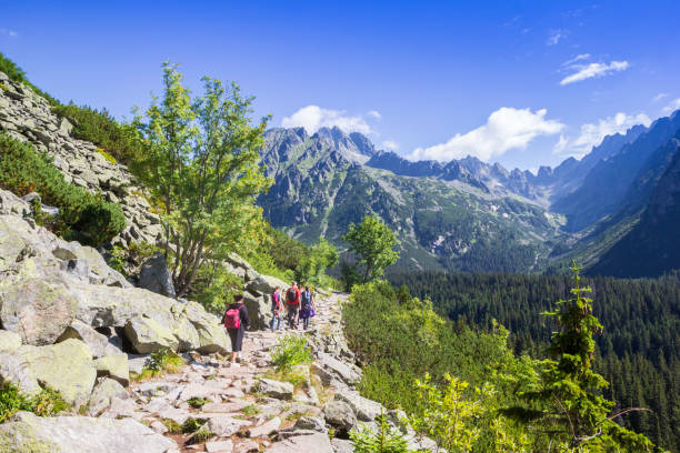 People walking the hiking trail in the Tatra mountains near Popradske Pleso People walking the hiking trail in the Tatra mountains near Popradske Pleso, Slovakia pleso stock pictures, royalty-free photos & images