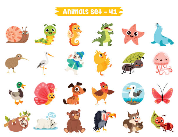 ilustraciones, imágenes clip art, dibujos animados e iconos de stock de conjunto de lindos animales de dibujos animados - foca