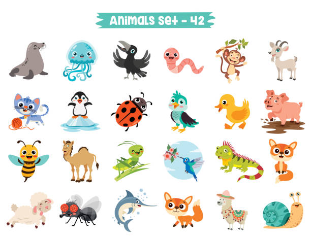 ilustraciones, imágenes clip art, dibujos animados e iconos de stock de conjunto de lindos animales de dibujos animados - foca