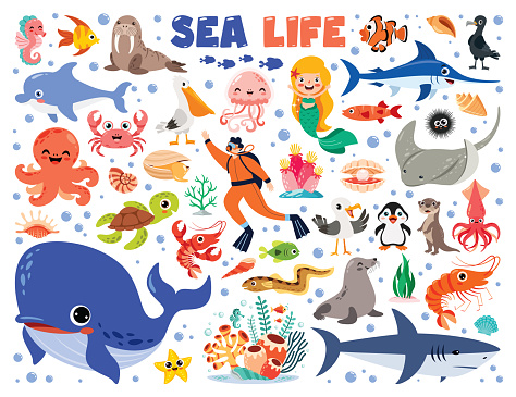 Cartoon Illustration Of Sea Life Elements