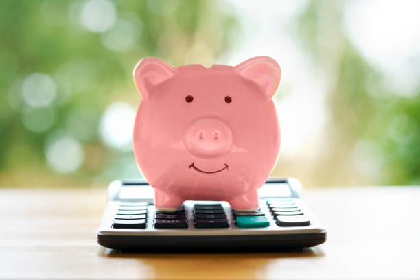 Piggy bank and calculator piggy bank and calculator, budget cut stock pictures, royalty-free photos & images