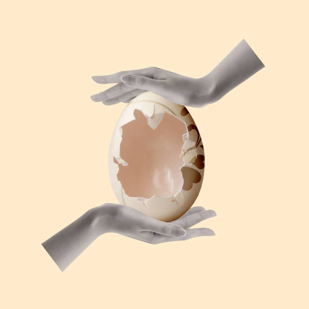 Contemporary art collage of  hands holding a broken eggshell.