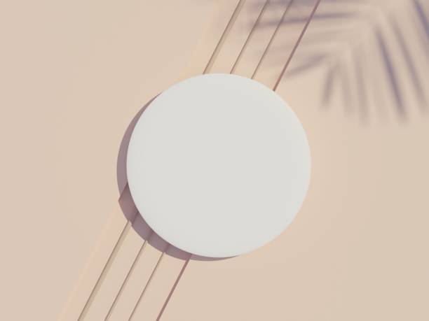 istock 3d render top view of white blank cylinder frame for mock up and display products with shadows of palm leaves with summer background. 1476108093