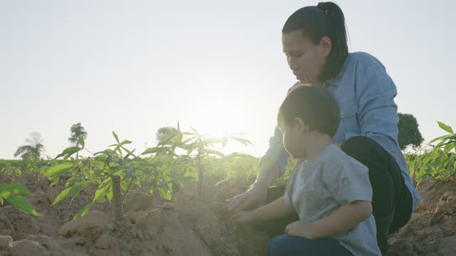 Asian mother and little boy planting young tree outdoor.