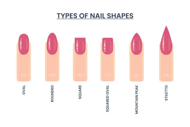 Vector illustration of nails