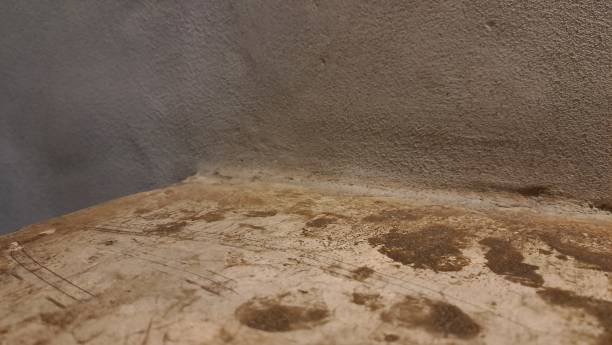 istock Sepia cracked cement ground background and pattern. It rough texture vintage wallpaper material 1476112436