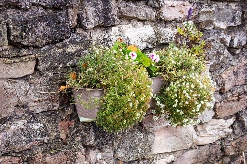 Gray stone wall with flower pots on it
