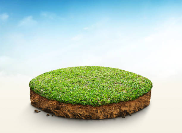 3D Illustration, round soil ground cross section with earth land and green grass, Soil layers. realistic 3D rendering ground ecology