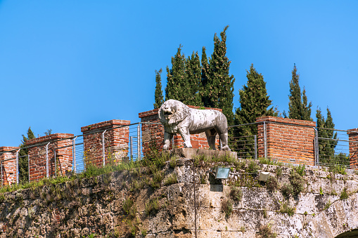 Marble Lion At The Wall Corner In Pisa, Tuscany