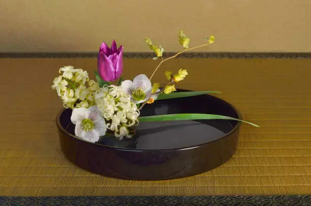Flower Arrangement with Hyacinth/Studio Shot