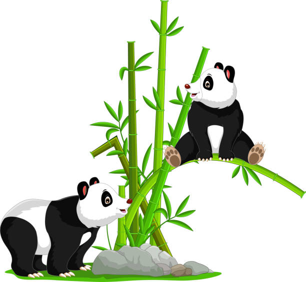 4.400+ Oso Panda Love Ilustraciones de Stock, gráficos vectoriales