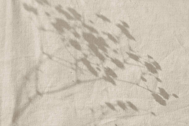 istock Aesthetic minimalist neutral background with sunlight shadows on beige textile, copy space 1476138940
