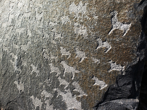 Ancient cave paintings on rocks. Bronze Age, Iron Age primitive art drawing on stone.
