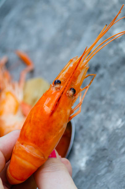 istock Large boiled king shrimp in a woman's hand 1476149673