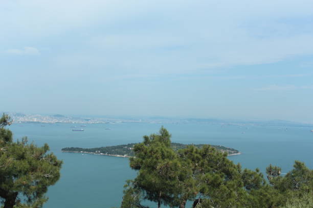 istock ISTANBUL AND ISLANDS COAST 1476150239