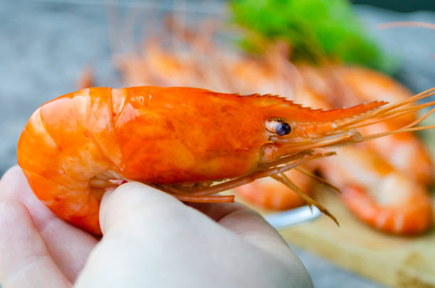 istock Large boiled king shrimp in a woman's hand 1476150541