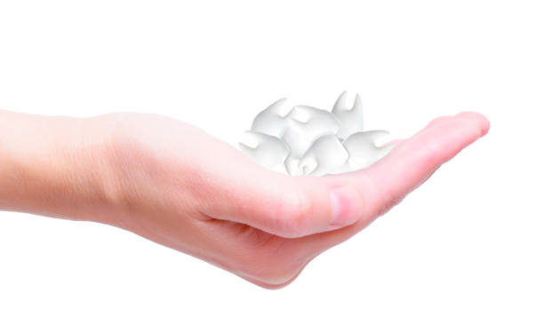 istock Close-up of a Hand Holding Teeth on White Background 1476153130