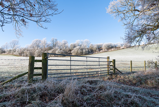 Farm field entrance gate on a frosty morning