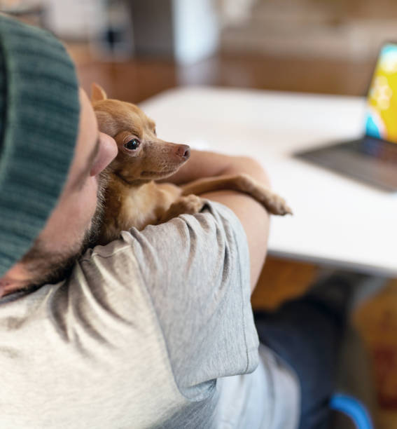 istock Pet owner hugging her little dog gently. 1476168455