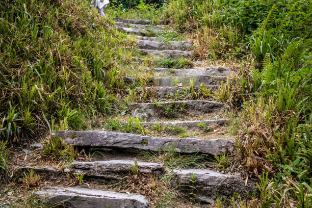 istock Lough Hyne walking trails West Cork Ireland 1476168722
