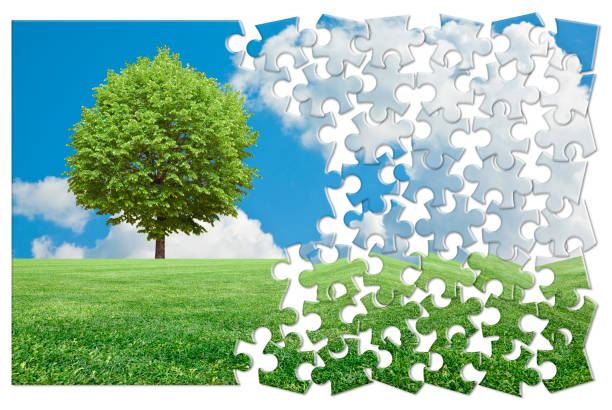istock Lone tree in a agricultural field - environmental conservation concept in jigsaw puzzle shape 1476173878