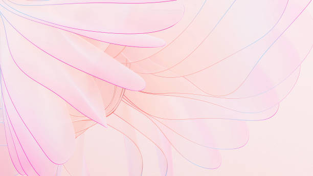 Layers overlapping like petals, gorgeous abstract background in pink, 3D illustration