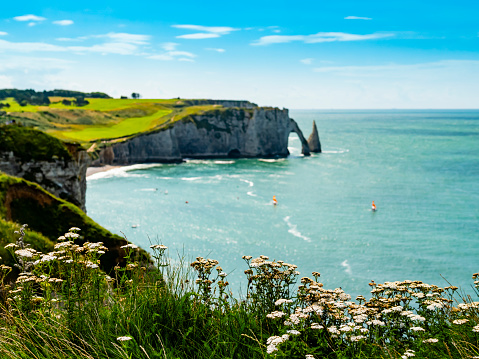 Dreamlike view of Etretat coastline, green fields and vertical chalk cliffs with characteristic arch and pinnacle, Normandy, France