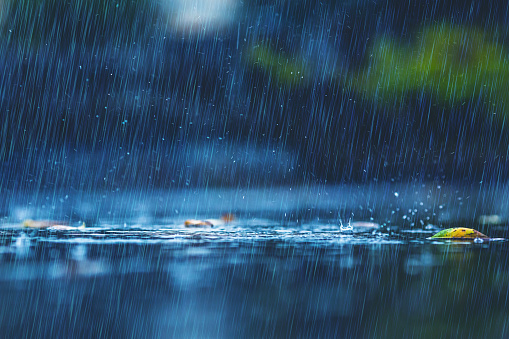 Summer rain. Raindrops. Bad weather. Depression.