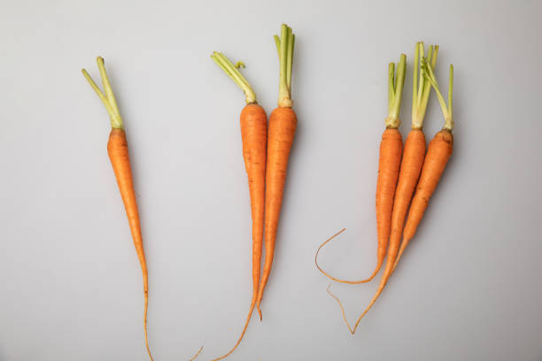 Carrots are placed on a white background