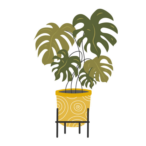 ilustrações, clipart, desenhos animados e ícones de planta fofa em um vaso de flores. adesivo de plantas exóticas de interior. flor em um fundo branco isolado. ilustração stock do vetor. planta de casa tropical. planta de vaso. planta de jardim. - fern flower pot plant decorative urn