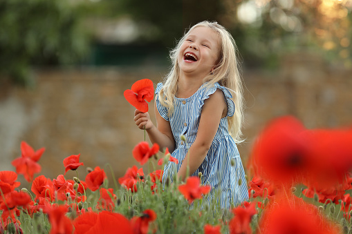 Little preschool girl in a poppy field.A cute happy child in a blue white striped dress is playing outdoors in a flowering meadow with red poppies.Active outdoor recreation with children.A girl with blonde hair is resting on a field with red poppies