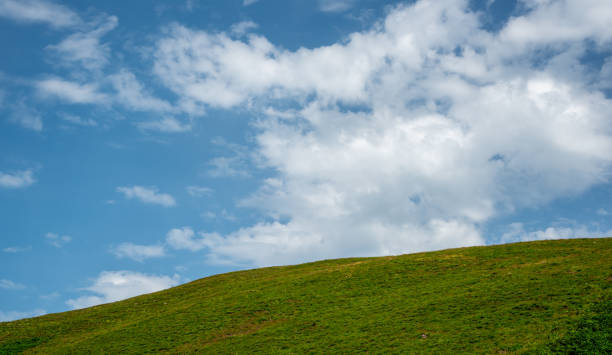 istock Meadow green field and blue cloudy sky. Nature backgound with copy space 1476193694