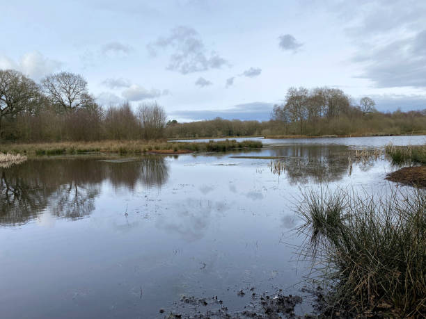 istock A view of Brown Moss Nature Reserve 1476194885