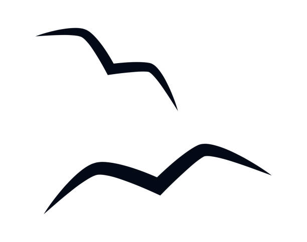 illustrations, cliparts, dessins animés et icônes de silhouette de mouettes volantes - oiseau marin