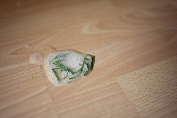 puked out cat grass and saliva on the floor with copy space puked out cat grass blades and saliva on wooden floor with copy space puke green color stock pictures, royalty-free photos & images