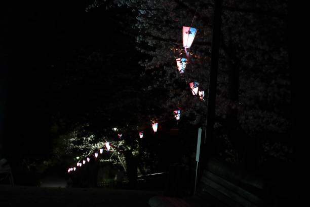istock Cherry Blossom Festival at night. 1476204051