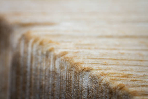 Extreme closeup of an old book from the side. Selective soft focus, shallow depth of field. Bibliophile, bookworm abstract background