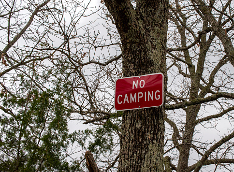 A nice large tree is used for the post to make it clear to travelers that camping is not allowed in this area in Oklahoma.