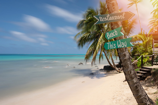 Beach wooden arrow sign on palm tree in Caribbean sea background