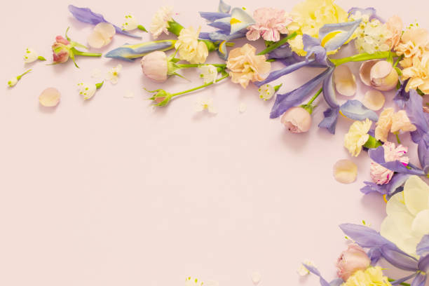 istock beautiful spring flowers on paper background 1476220406