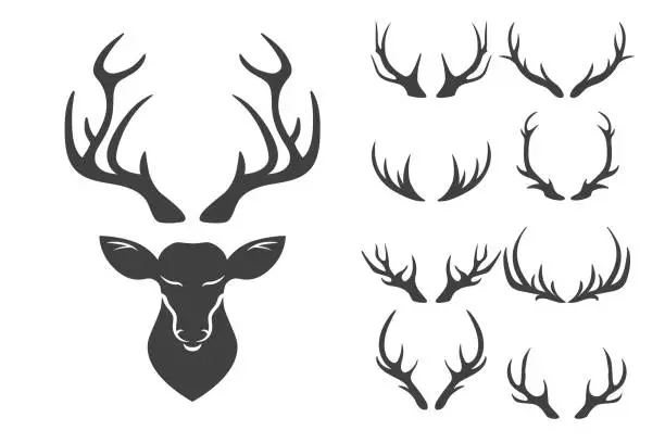 Vector illustration of Vector Reindeer Horns, Antlers. Deer Horn Silhouettes. Hand Drawn Deers Horn, Antler Set. Animal Antler Collection. Design Elements of Deer. Wildlife Hunters, Hipster, Christmas and New Year concept