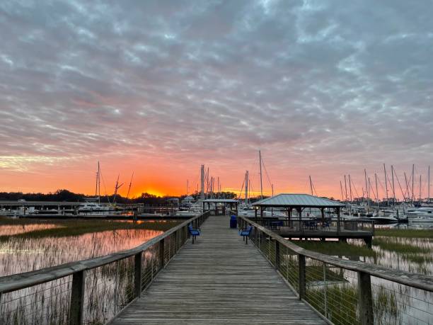 istock Discovering the Beauty of Saint Simons Island 1476236689