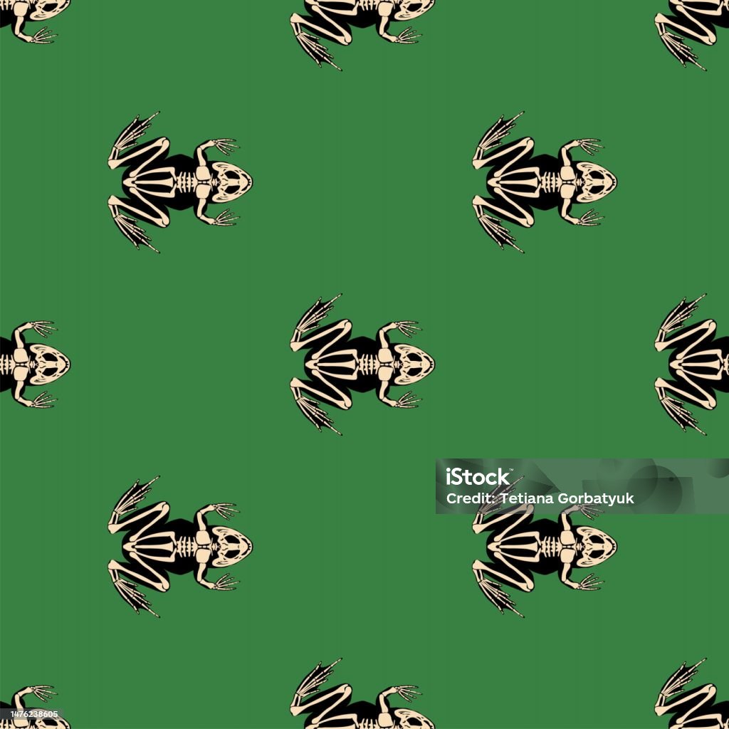 Frog Pattern Body Frog Skeleton Seamless Pattern Stock Illustration - Download Image Now ...